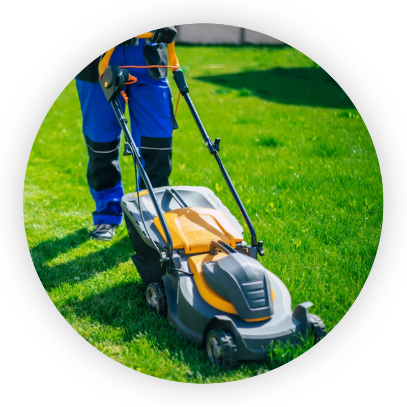 Garden Maintenance